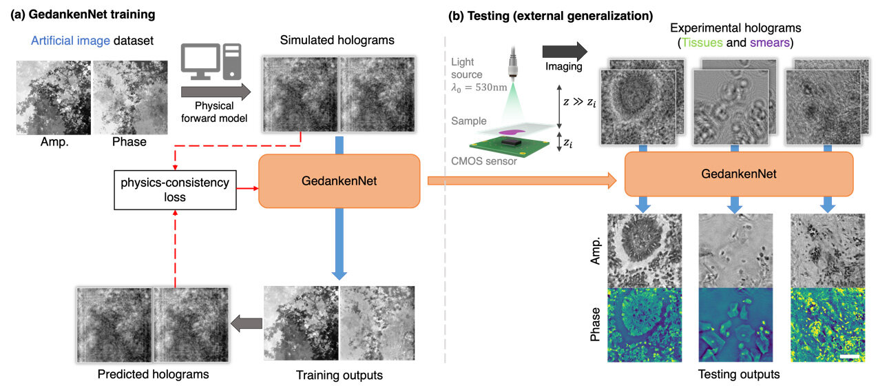 self-supervised-ai-lea