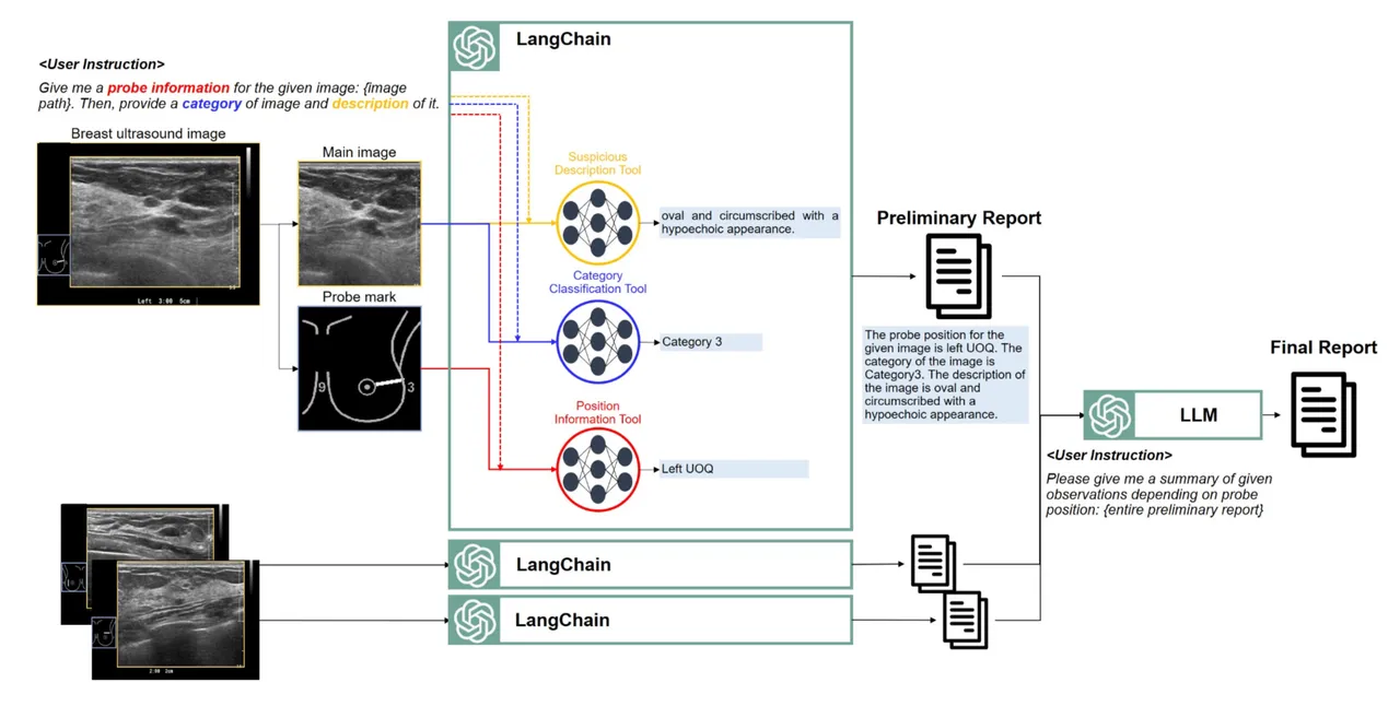 langchain-breast-ultrasound-application